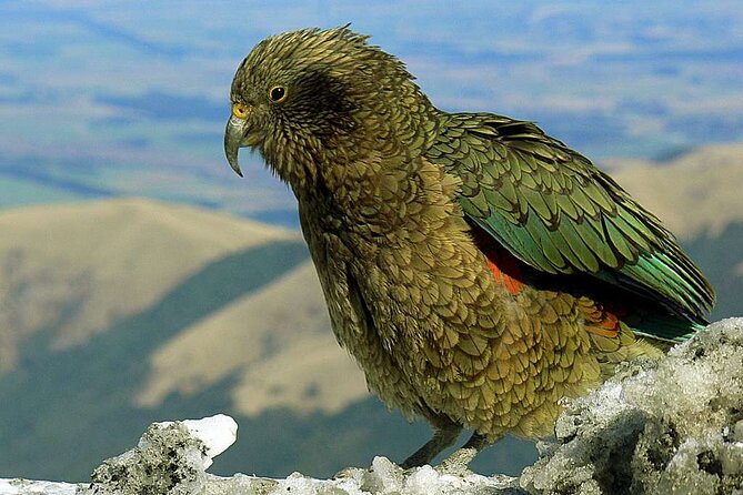 Queenstown to Lake Tekapo via Mt Cook One-Way Small Group Tour - Three hours inside Aoraki/Mt Cook National Park