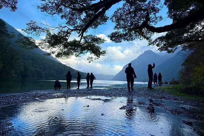 Queenstown to Te Anau via Milford Sound inc Cruise & Lunch - Why this Queenstown to Te Anau route makes sense