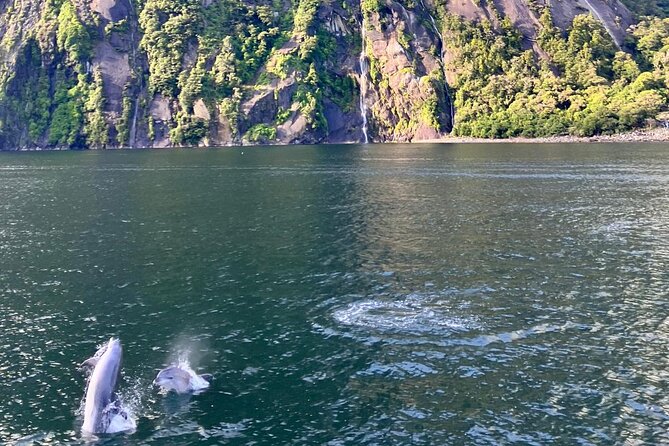 Queenstown to Te Anau via Milford Sound inc Cruise & Lunch - Eglinton Valley and the first taste of Fiordland