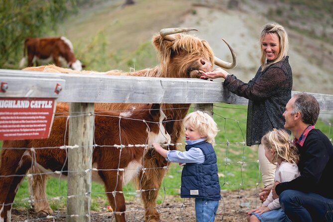Queenstown: Walter Peak Farm Tour and Lake Cruise - Key points to know before you go