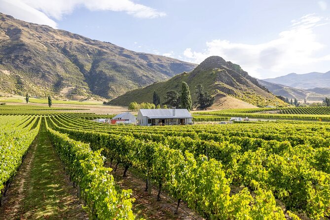 Queenstown Wine & Food Tour: Scenery, Tastings & Delicious Lunch! - How much wine do you actually taste?