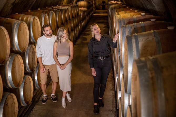 Queenstown Wine & Food Tour: Scenery, Tastings & Delicious Lunch! - The small-group setup and guide quality