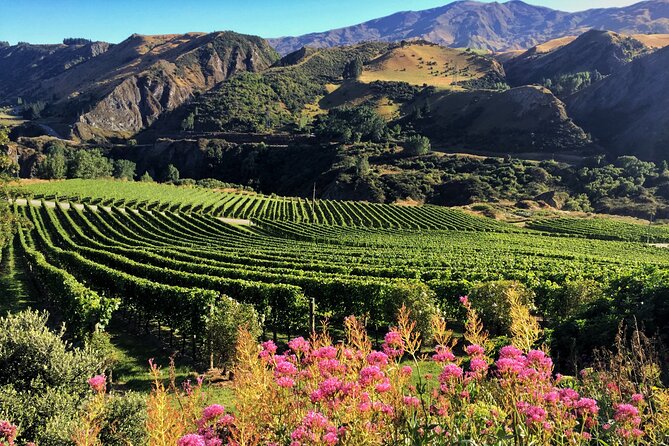 Queenstown Wine Tour - Chard Farm begins the tasting sequence