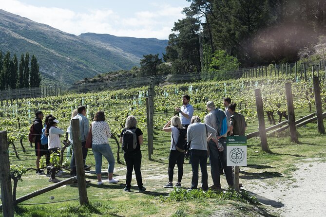 Queenstown Wine Tour - Gibbston Valley Cave | Kinross | Amisfield - Key points before you book