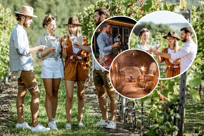 Queenstown Wine Tour - Gibbston Valley Cave | Kinross | Amisfield - Why this Queenstown wine tour works so well
