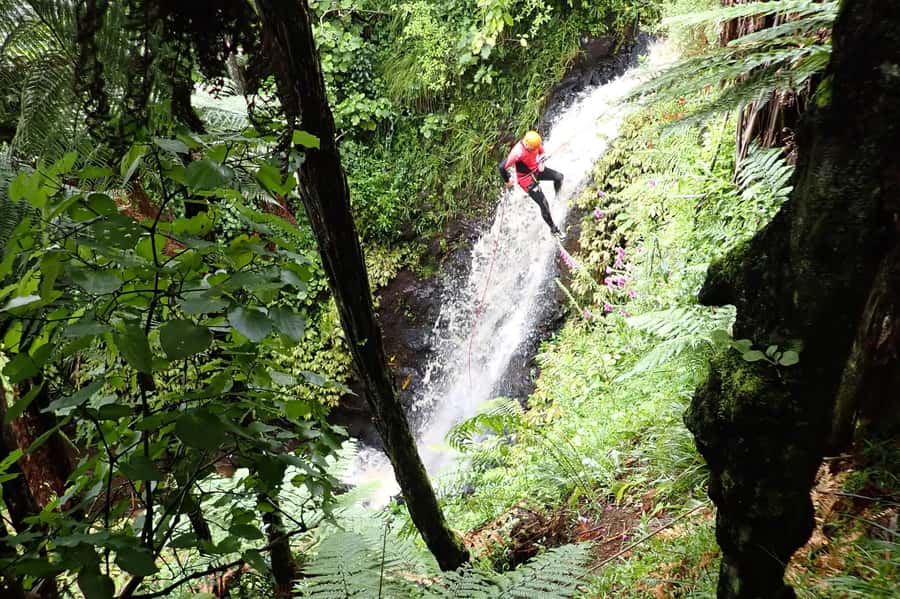 Raglan: Karioi Canyoning - Why Karioi Canyon feels different from a standard Raglan outing