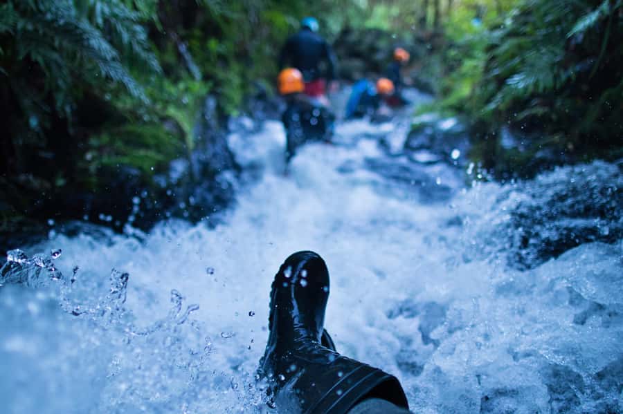 Raglan: Karioi Canyoning - Bush, birds, and local knowledge