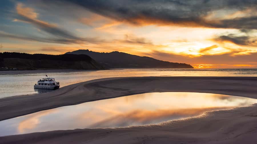 Raglan: Scenic Harbour Sunset Cruise - Key things to know before you sail