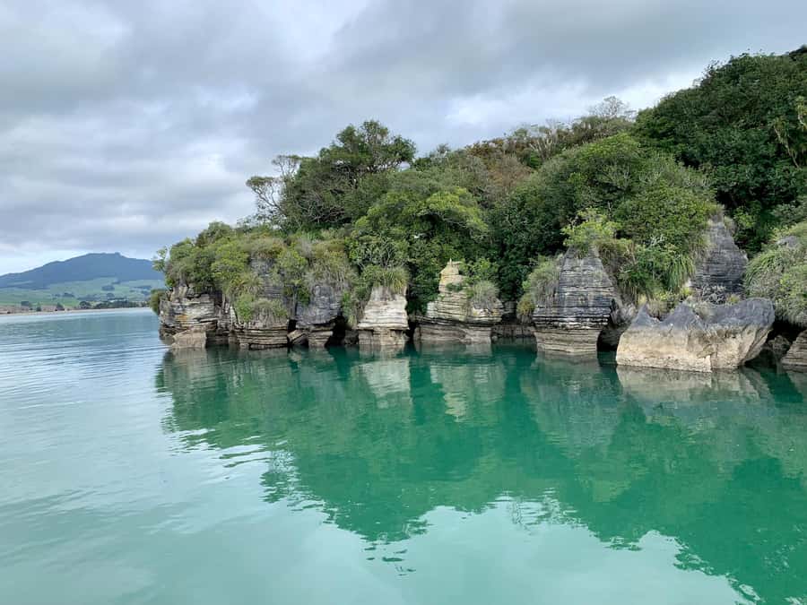 Raglan: Scenic Harbour Sunset Cruise - The boat atmosphere and seating trade-off