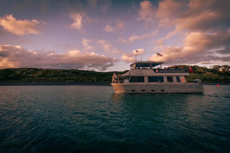 Raglan: Scenic Harbour Sunset Cruise - Is $38 good value?
