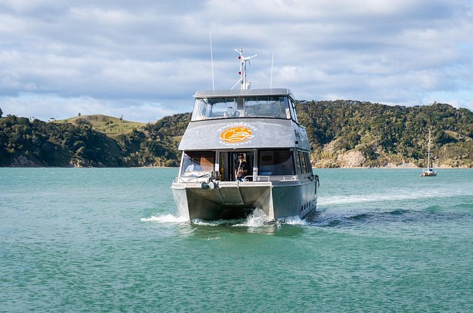 Raglan: Scenic Nature Boat Cruise - Reaching the black sand beach at the harbour mouth