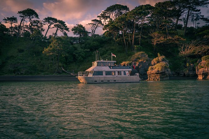 Raglan: Scenic Nature Boat Cruise - Cruising through Whaingaroa Harbour