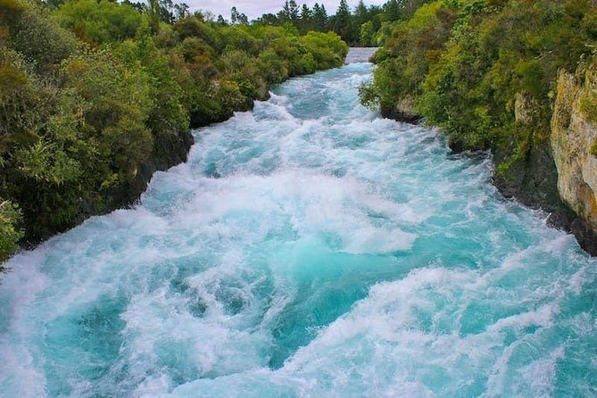 Redwood Forest , Blue Springs & Huka Falls Day Tour from Auckland - What this Auckland day tour is really like