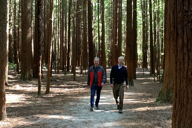 Redwood Forest , Blue Springs & Huka Falls Day Tour from Auckland - The driver-guide can shape the day