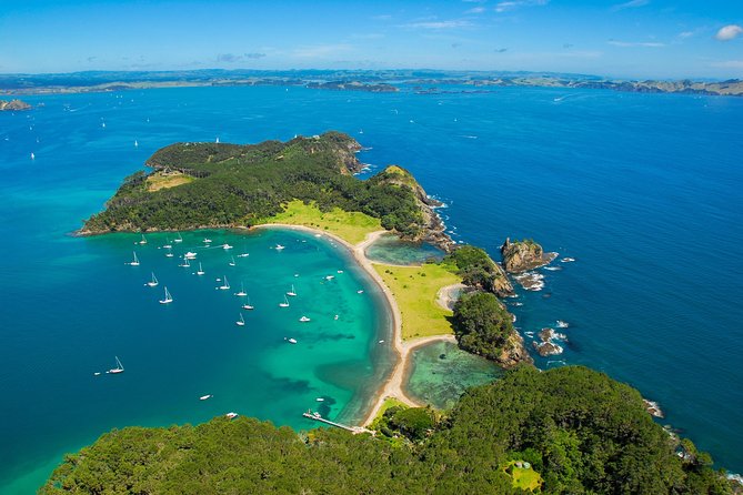 Redwood Forest , Blue Springs & Huka Falls Day Tour from Auckland - Who should book this experience?