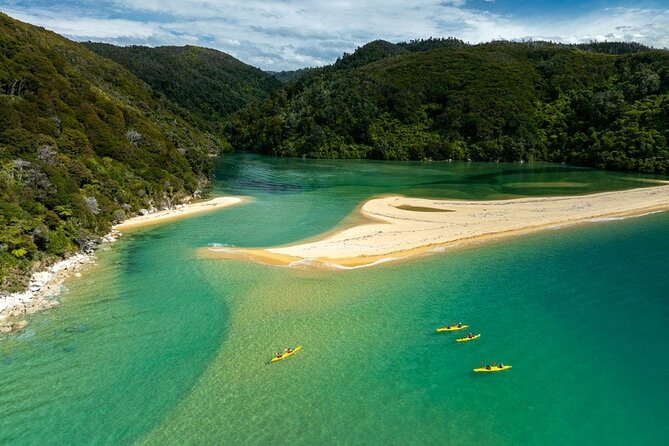 Remote Marine Reserve - Guided Kayaking - New Zealand - What the guide adds to eight hours of paddling