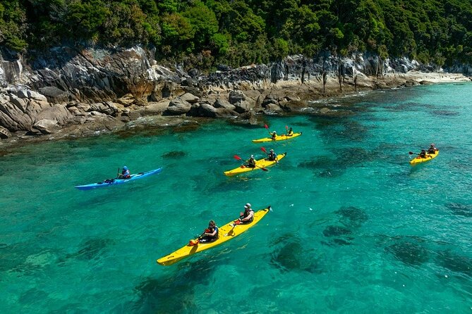 Remote Marine Reserve - Guided Kayaking - New Zealand - Onetahuti to Anchorage: Tonga Island and sheltered lagoons
