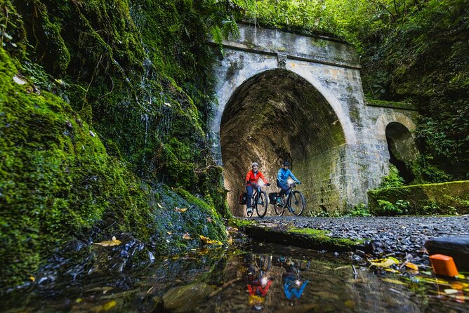 Remutaka Rail Trail eBike Explorer Cycle Tour - Key points to know before booking