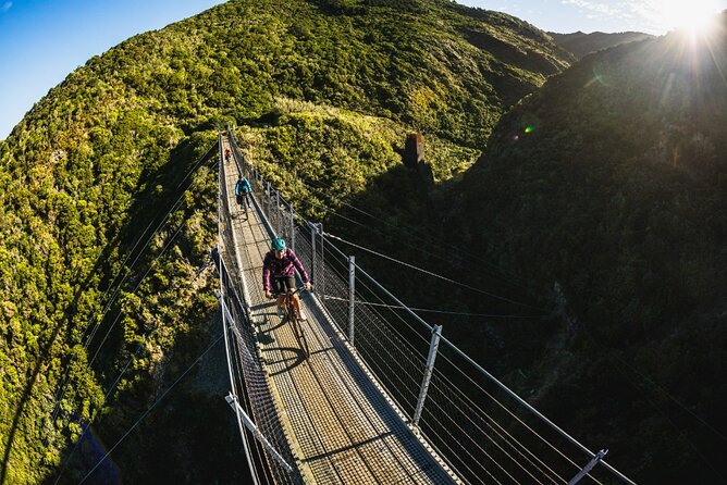 Remutaka Rail Trail eBike Explorer Cycle Tour - Starting in Wellington: pickup times that matter