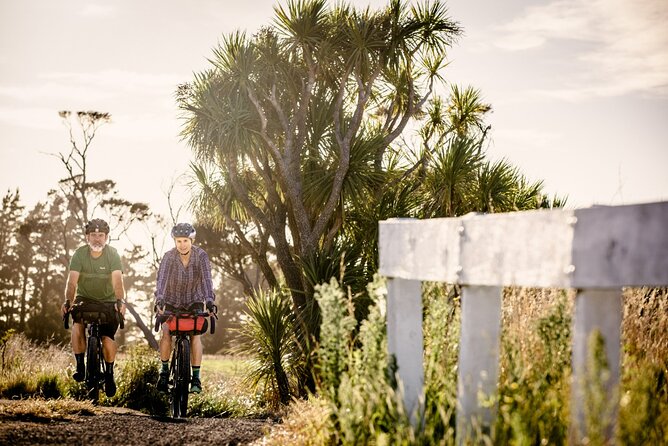 Remutaka Rail Trail eBike Explorer Cycle Tour - The summit picnic and the ride into the Wairarapa