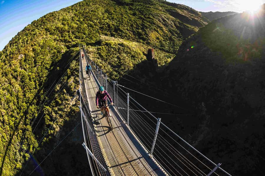 Remutaka Rail Trail eBike Shore Excursion for Cruise Ships - The Descent to Cross Creek