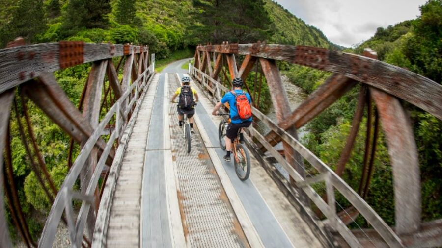 Remutaka Rail Trail eBike Shore Excursion for Cruise Ships - Who Should Book This Ride?
