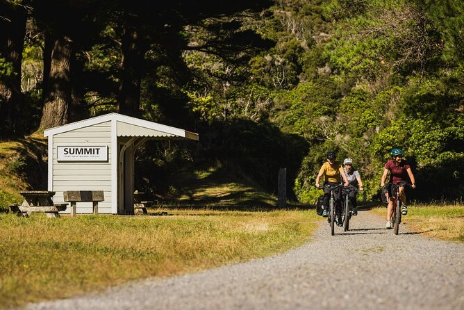 Remutaka Rail Trail Explorer - eBike Cruise Ship Shore Excursion - The final kilometers require more care