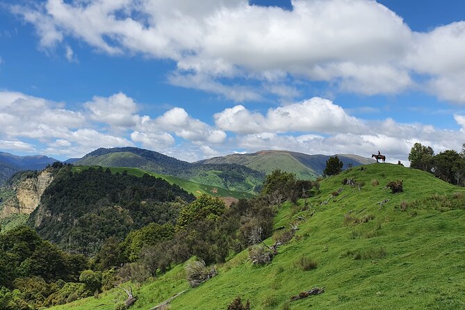 River Valley Stables - Burn The Breeze, Half Day Horse Ride For Riders - Starting at River Valley Lodge near Taihape
