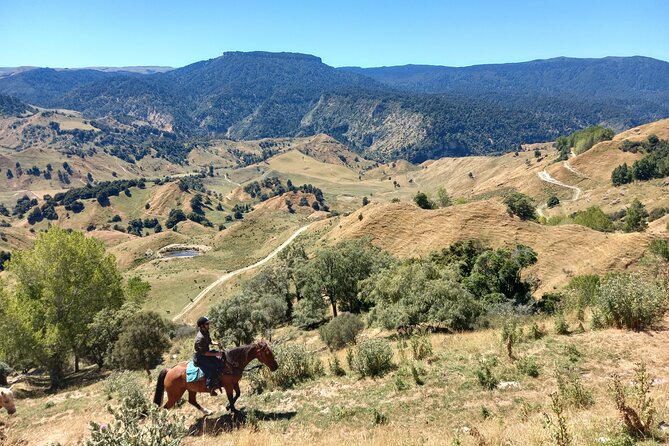 River Valley Stables - Burn The Breeze, Half Day Horse Ride For Riders - Meeting your horse before the trail