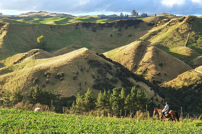 River Valley Stables - Burn The Breeze, Half Day Horse Ride For Riders - Is the $170.66 price good value?