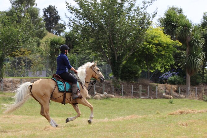 River Valley Stables - Burn The Breeze, Half Day Horse Ride For Riders - What the strongest praise tells you