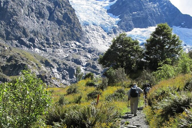 Rob Roy Glacier Guided Walk - Why the Rob Roy route earns a place in your Wanaka plans