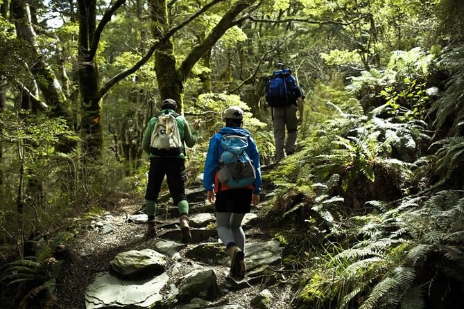 Rob Roy Glacier Guided Walk - Raspberry Hut and the Matukituki River