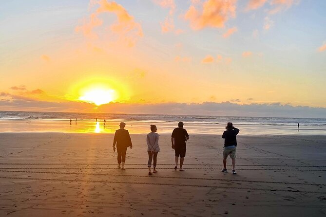 Romantic Auckland Sunset tour with Winery & Thermal pool - Muriwai Beach and the West Coast sunset