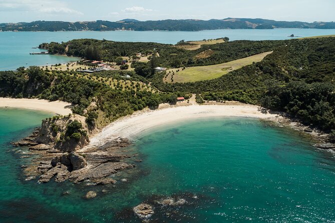 Rotoroa Island Ferry - from Auckland - Key points to know before booking