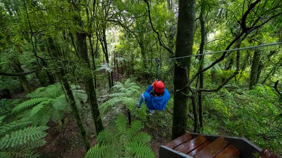 Rotorua: 6 Ziplines, Swing-Bridges & Wildlife Encounters - Weather, clothing, and practical preparation