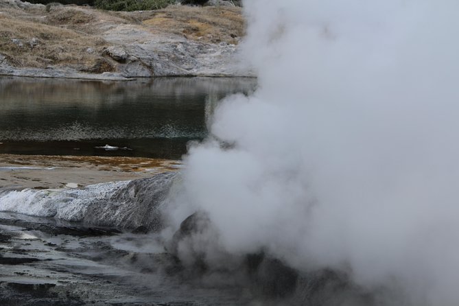 Rotorua and Waitomo Caves Day Trip from Auckland -Smaller Groups - Who should book this day trip?