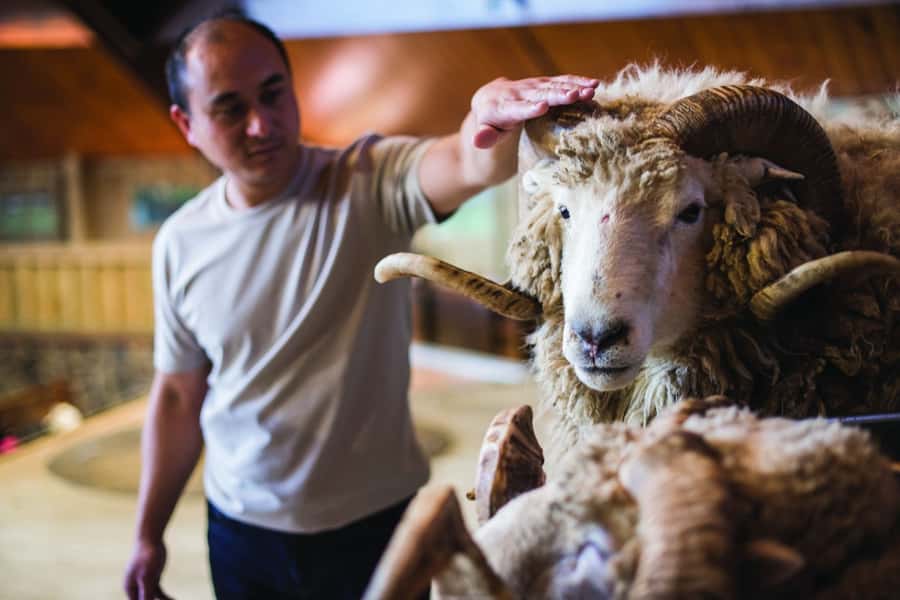 Rotorua: Authentic Kiwi Farm Experience at the Agrodome - Practical advice for a smoother visit