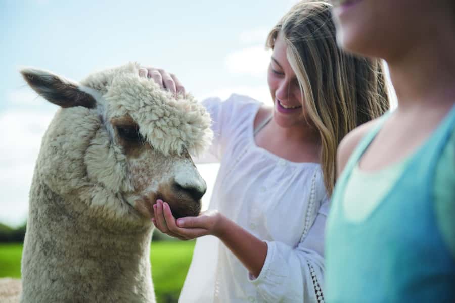 Rotorua: Authentic Kiwi Farm Experience at the Agrodome - Who should book the Agrodome?