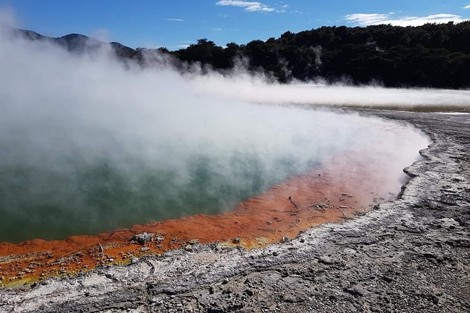 Rotorua based Small Group Morning Tour Waimangu and Wai O Tapu - Waimangu Volcanic Valley and its young ecosystem