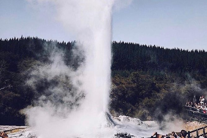 Rotorua based Small Group Morning Tour Waimangu and Wai O Tapu - The guides are a major part of the value