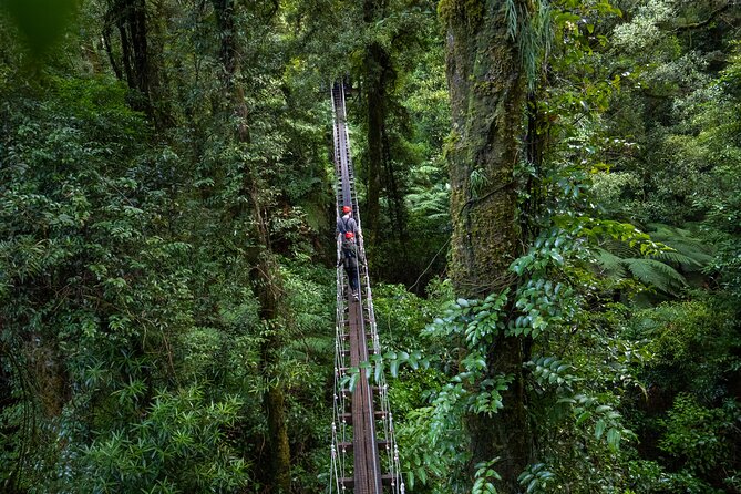 Rotorua Canopy Tours: 2.5Hour Native Forest Zipline Adventure - The first safety briefing and forest transfer