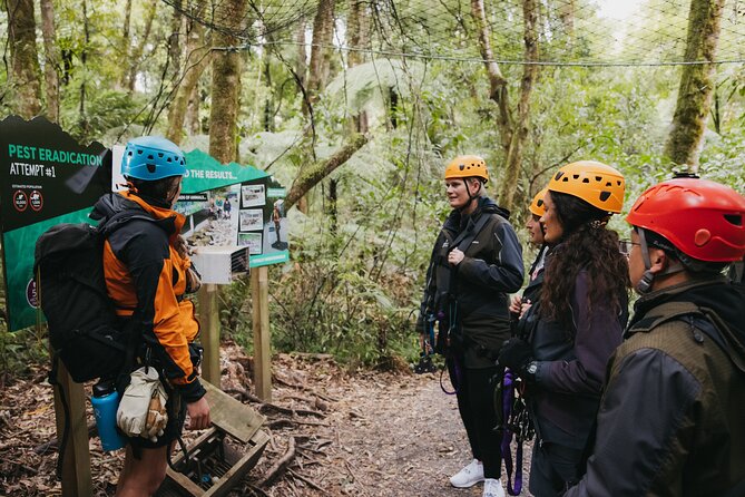 Rotorua Canopy Tours: 2.5Hour Native Forest Zipline Adventure - Six ziplines and bridges among the trees