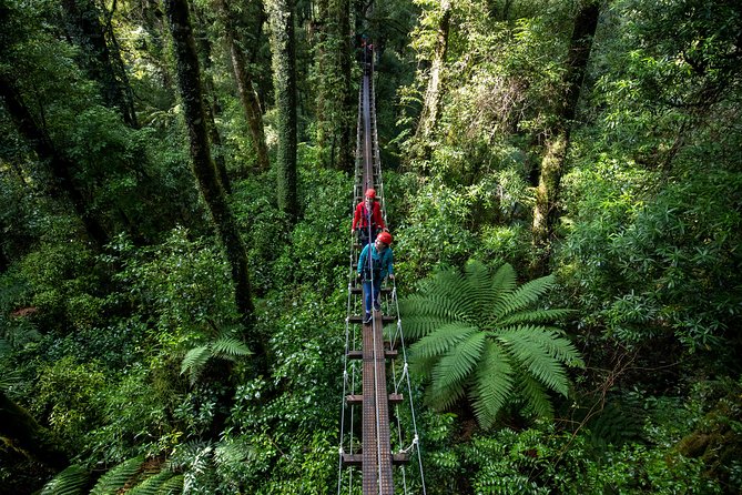 Rotorua Canopy Tours: 2.5Hour Native Forest Zipline Adventure - Conservation gives the adventure weight
