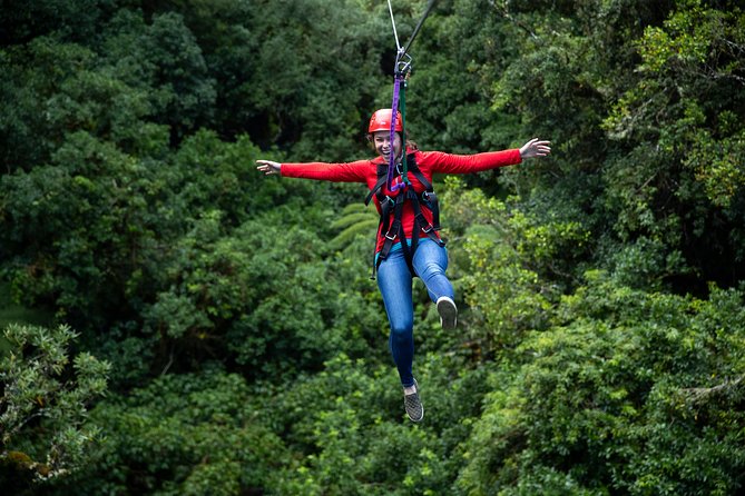 Rotorua Canopy Tours: 2.5Hour Native Forest Zipline Adventure - Free photos and what to bring