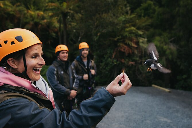 Rotorua Canopy Tours: 2.5Hour Native Forest Zipline Adventure - Who will enjoy the 2.5-hour format