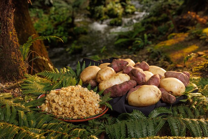 Rotorua Cultural & Geothermal Small Group Tour From Auckland - The Return to Auckland