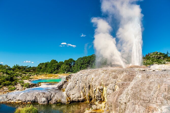 Rotorua Cultural Small Group Afternoon Tour - Key things to know before booking
