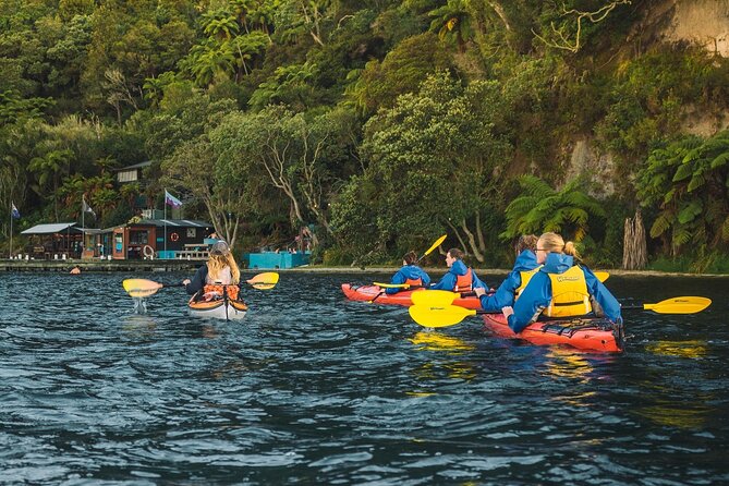 Rotorua: Daytime Scenic Lake Rotoiti Kayak Tour - Why Lake Rotoiti makes a good kayaking setting