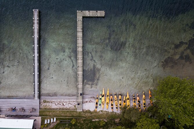 Rotorua: Daytime Scenic Lake Rotoiti Kayak Tour - Two hours among native bush and birdlife